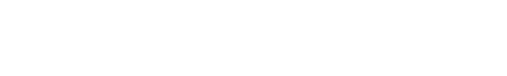 AKAISH ELAN Logo